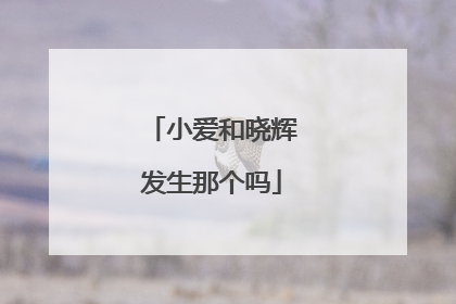 小爱和晓辉发生那个吗