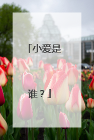 小爱是谁？