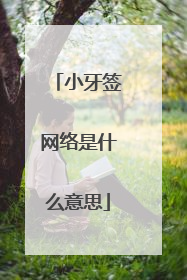 小牙签网络是什么意思