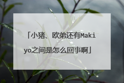 小猪、欧弟还有Makiyo之间是怎么回事啊
