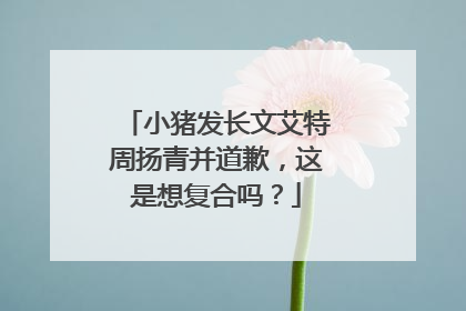 小猪发长文艾特周扬青并道歉，这是想复合吗？