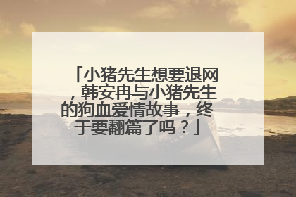 小猪先生想要退网,韩安冉与小猪先生的狗血爱情故事,终于要翻篇了吗?