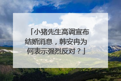 小猪先生高调宣布结婚消息,韩安冉为何表示强烈反对?