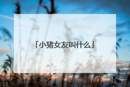 小猪女友叫什么