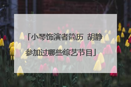 小琴饰演者简历 胡静参加过哪些综艺节目