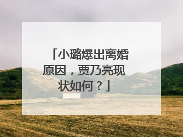 小璐爆出离婚原因,贾乃亮现状如何?