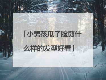 小男孩瓜子脸剪什么样的发型好看