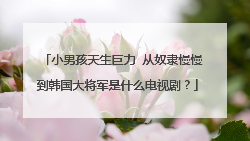 小男孩天生巨力 从奴隶慢慢到韩国大将军是什么电视剧？