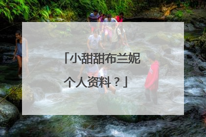 小甜甜布兰妮个人资料?