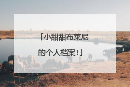 小甜甜布莱尼的个人档案!