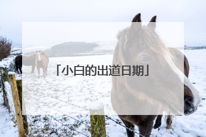 小白的出道日期