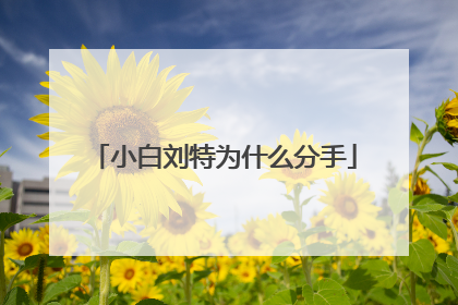 小白刘特为什么分手