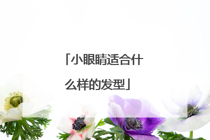 小眼睛适合什么样的发型