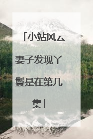 小站风云妻子发现丫鬟是在第几集