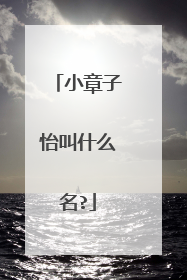 小章子怡叫什么名?