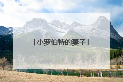 小罗伯特的妻子