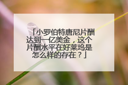 小罗伯特唐尼片酬达到一亿美金,这个片酬水平在好莱坞是怎么样的存在?