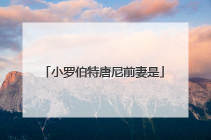 小罗伯特唐尼前妻是