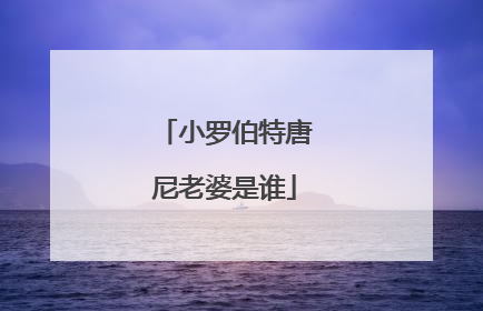 小罗伯特唐尼老婆是谁