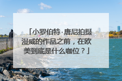 小罗伯特·唐尼拍摄漫威的作品之前，在欧美到底是什么咖位？