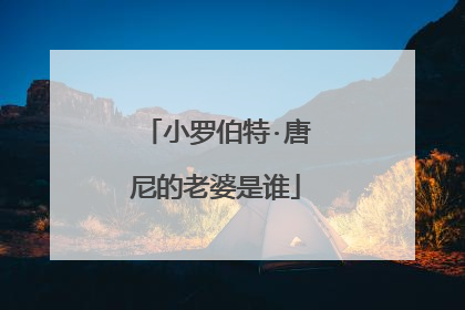 小罗伯特·唐尼的老婆是谁