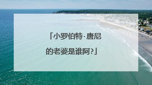 小罗伯特·唐尼的老婆是谁阿?