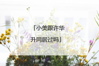 小美跟许华升同居过吗