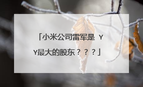 小米公司雷军是 YY最大的股东？？？