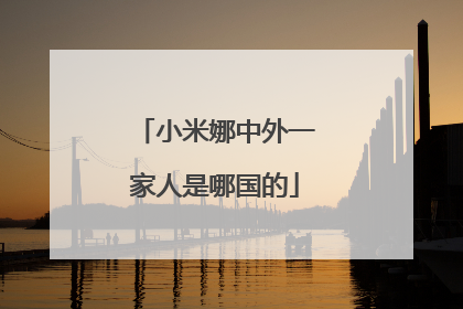 小米娜中外一家人是哪国的