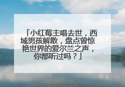小红莓主唱去世,西域男孩解散,盘点曾惊艳世界的爱尔兰之声,你都听过吗?