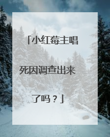小红莓主唱死因调查出来了吗？