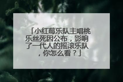 小红莓乐队主唱桃乐丝死因公布，影响了一代人的摇滚乐队，你怎么看？