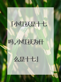 小红袄是十七吗,小红袄为什么是十七