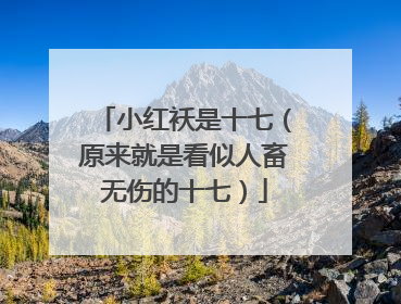 小红袄是十七（原来就是看似人畜无伤的十七）
