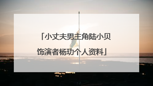 小丈夫男主角陆小贝饰演者杨玏个人资料