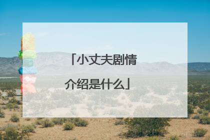 小丈夫剧情介绍是什么