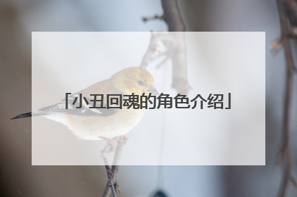 小丑回魂的角色介绍