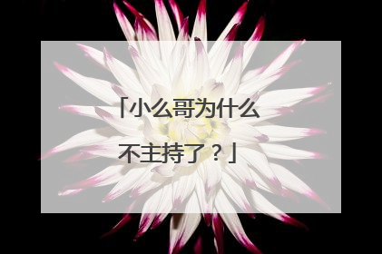 小么哥为什么不主持了？