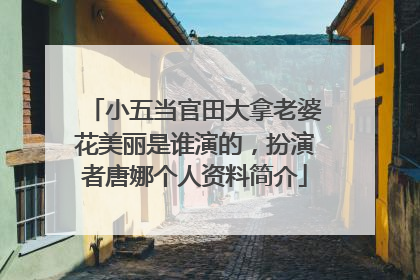 小五当官田大拿老婆花美丽是谁演的，扮演者唐娜个人资料简介