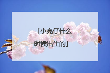 小亮仔什么时候出生的
