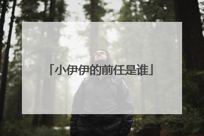 小伊伊的前任是谁