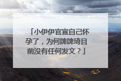小伊伊官宣自己怀孕了，为何牌牌琦目前没有任何发文？