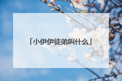 小伊伊徒弟叫什么