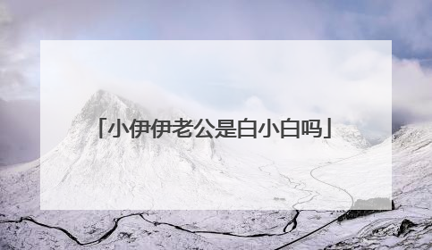 小伊伊老公是白小白吗