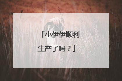 小伊伊顺利生产了吗？