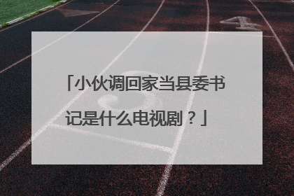 小伙调回家当县委书记是什么电视剧？