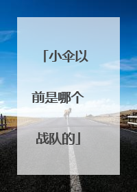 小伞以前是哪个战队的