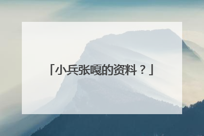 小兵张嘎的资料？