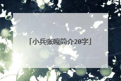 小兵张嘎简介20字