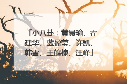 小八卦:黄景瑜、霍建华、蓝盈莹、许凯、韩雪、王鹤棣、汪峰